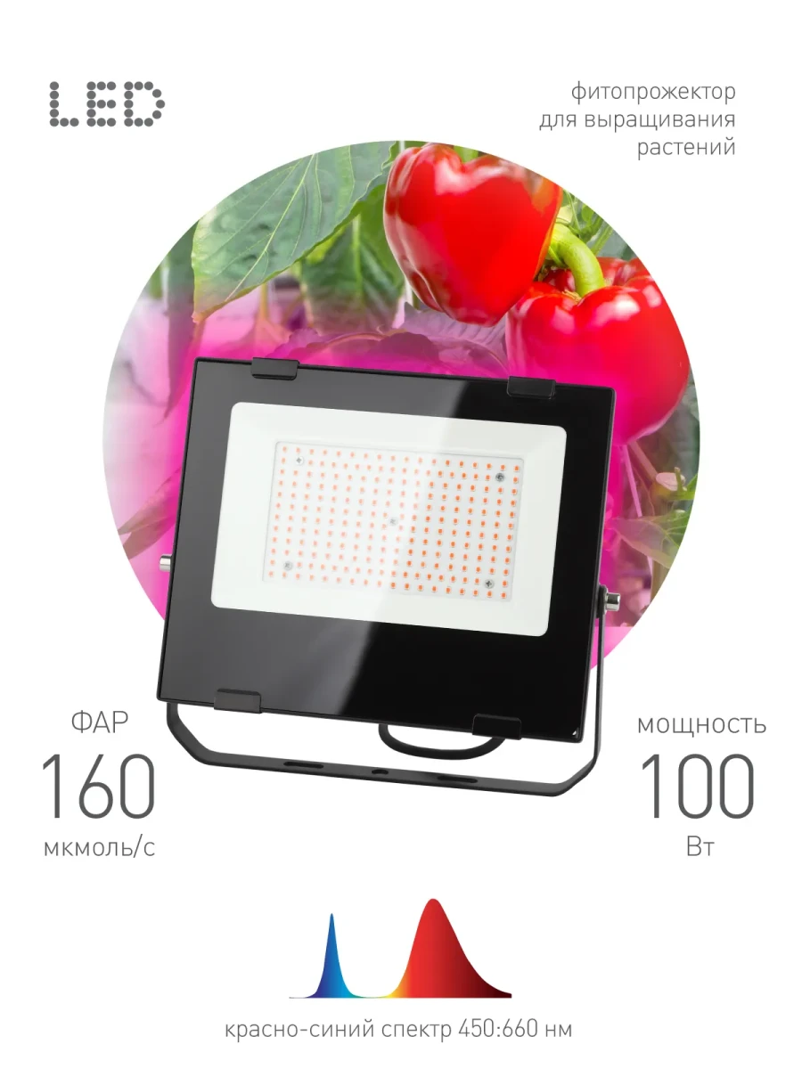 Прожектор красно-синего спектра FITO-100W-RB-LED Прожектор красно-синего спектра FITO-100W-RB-LED
