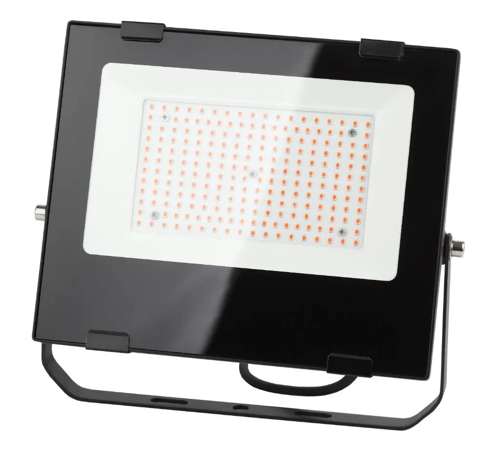 Прожектор красно-синего спектра FITO-100W-RB-LED Прожектор красно-синего спектра FITO-100W-RB-LED