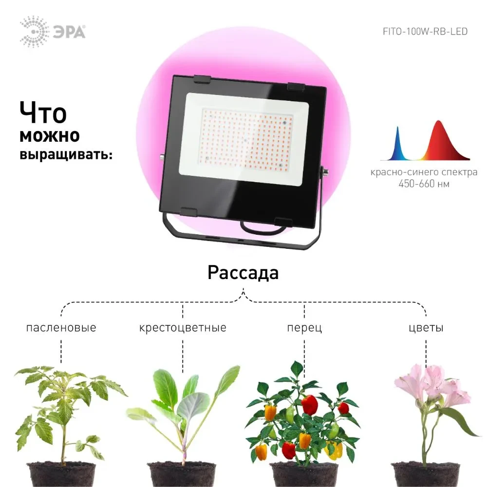 Прожектор красно-синего спектра FITO-100W-RB-LED Прожектор красно-синего спектра FITO-100W-RB-LED