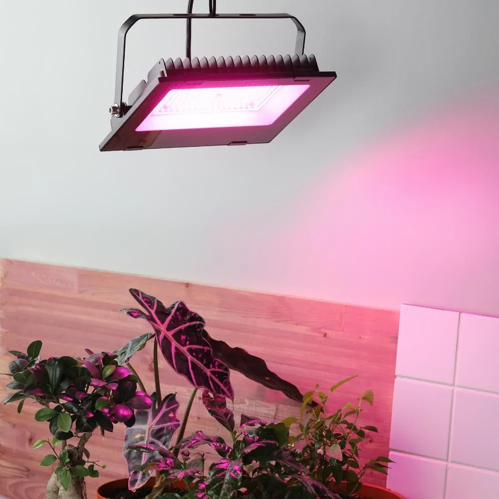 Прожектор красно-синего спектра FITO-100W-RB-LED Прожектор красно-синего спектра FITO-100W-RB-LED