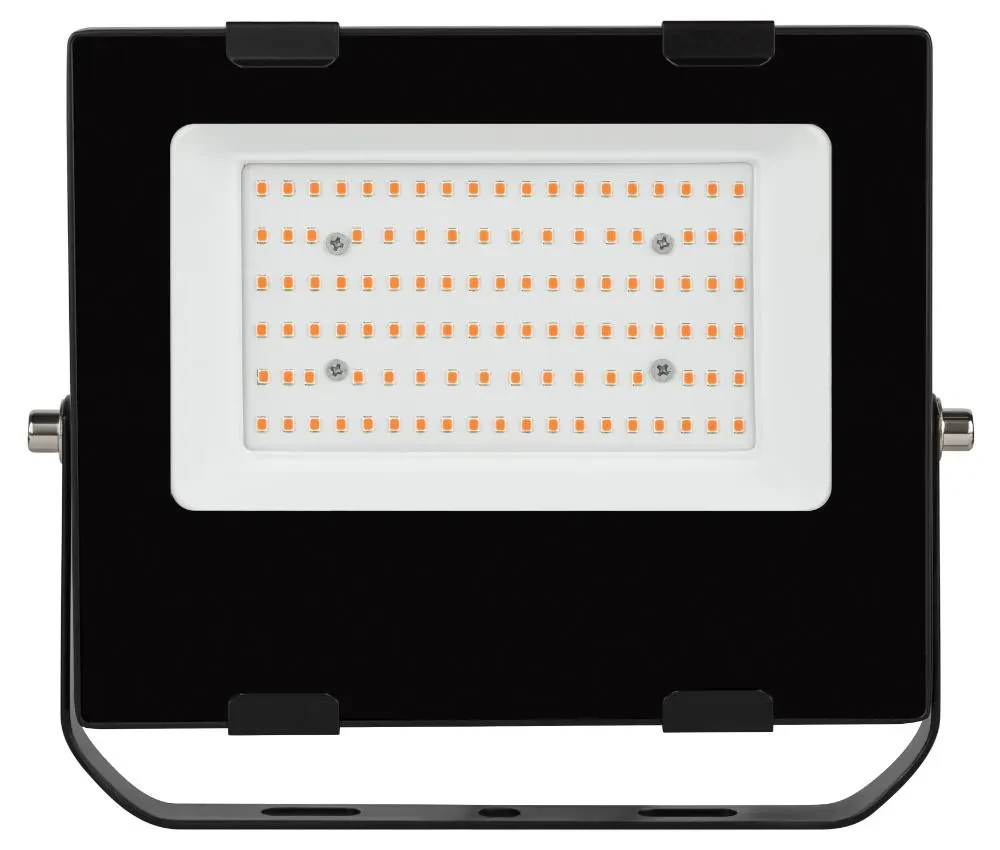 Прожектор красно-синего спектра FITO-50W-RB-LED Прожектор красно-синего спектра FITO-50W-RB-LED