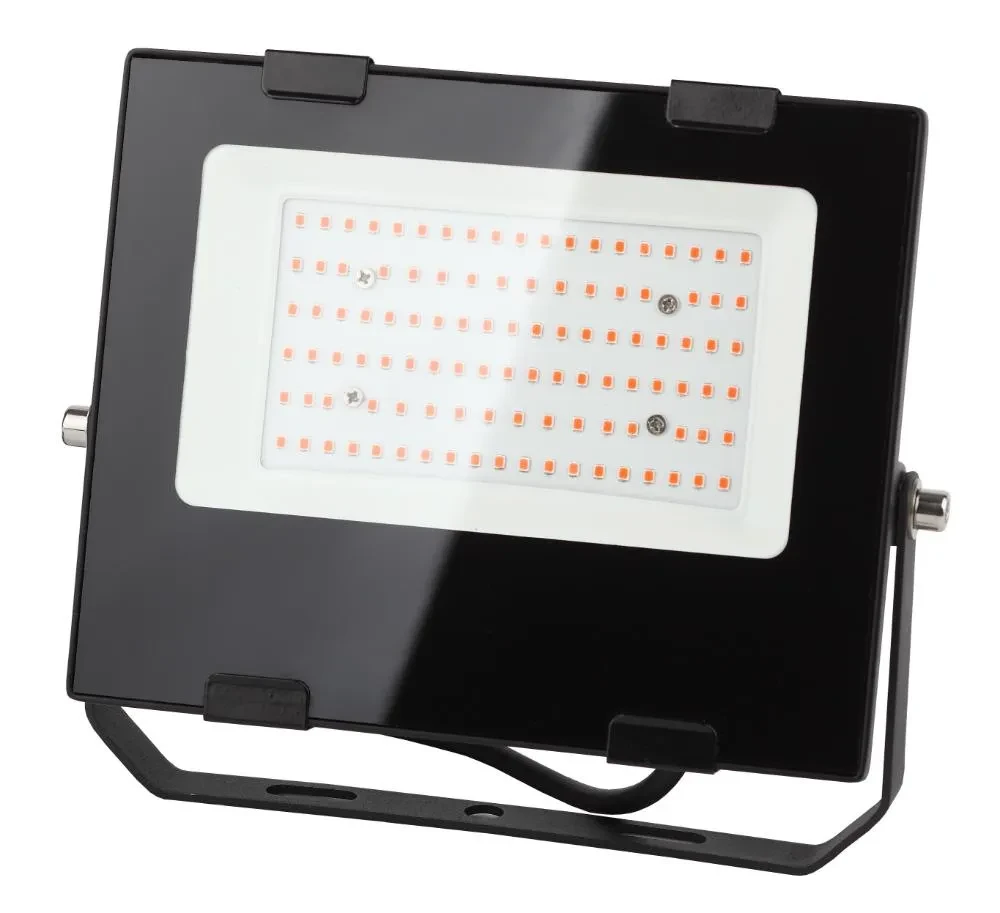Прожектор красно-синего спектра FITO-50W-RB-LED Прожектор красно-синего спектра FITO-50W-RB-LED