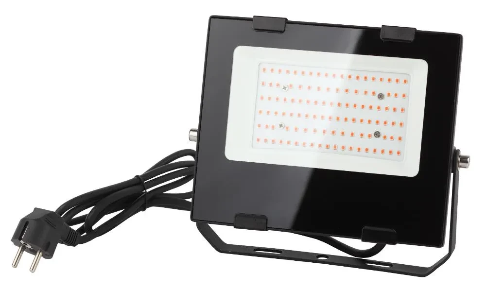 Прожектор красно-синего спектра FITO-50W-RB-LED Прожектор красно-синего спектра FITO-50W-RB-LED