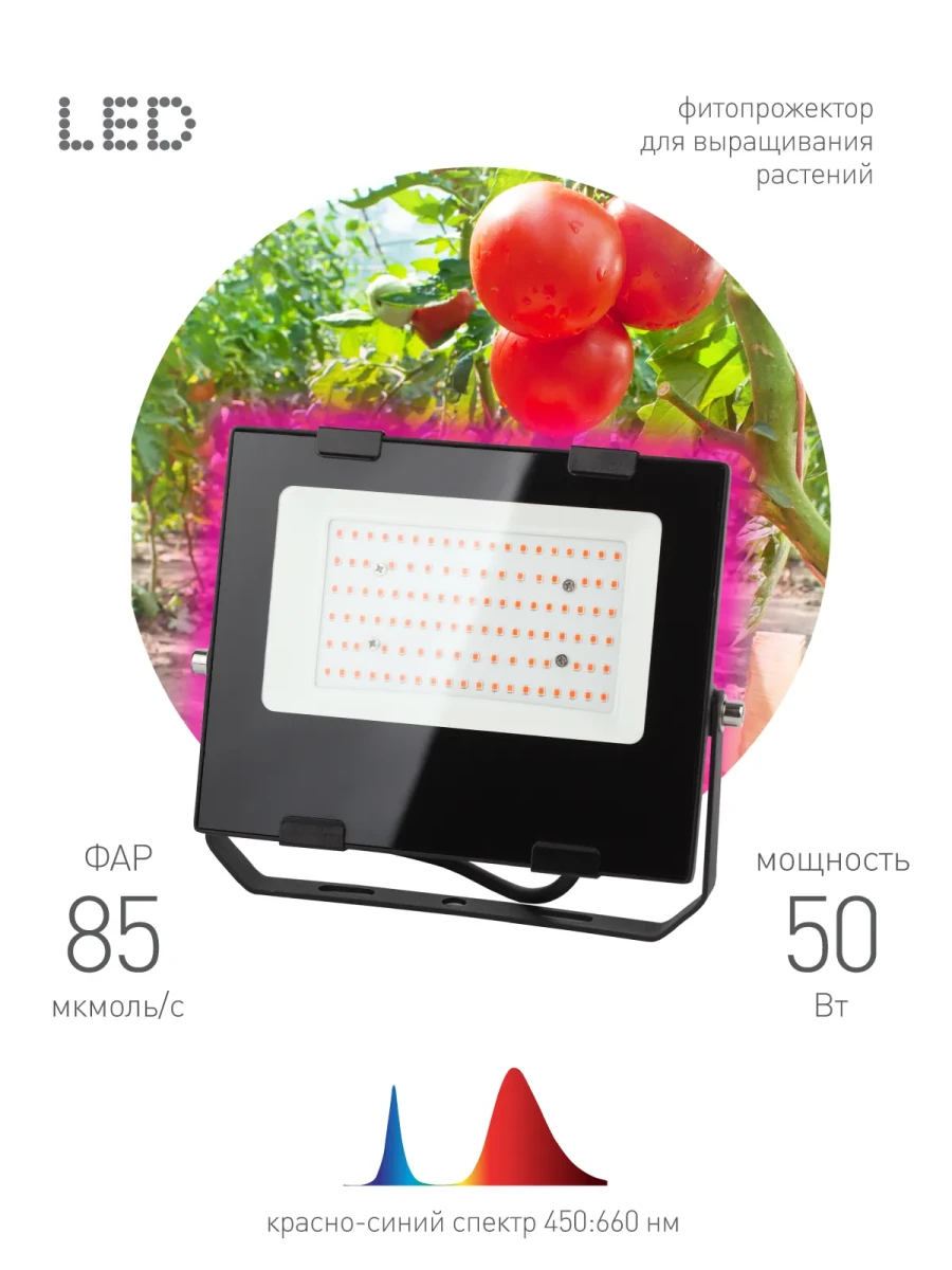 Прожектор красно-синего спектра FITO-50W-RB-LED Прожектор красно-синего спектра FITO-50W-RB-LED