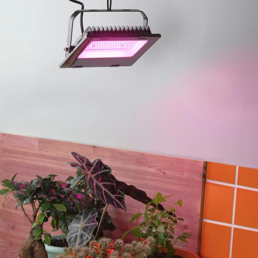 Прожектор красно-синего спектра FITO-50W-RB-LED Прожектор красно-синего спектра FITO-50W-RB-LED
