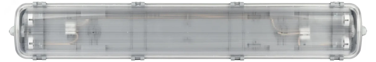 Светильник под 2 светодиодные лампы T8 G13 LED 2x600 транзитный 20шт в линию SPP-103-0-002-060 IP65 Светильник под 2 светодиодные лампы T8 G13 LED 2x600 транзитный 20шт в линию SPP-103-0-002-060 IP65