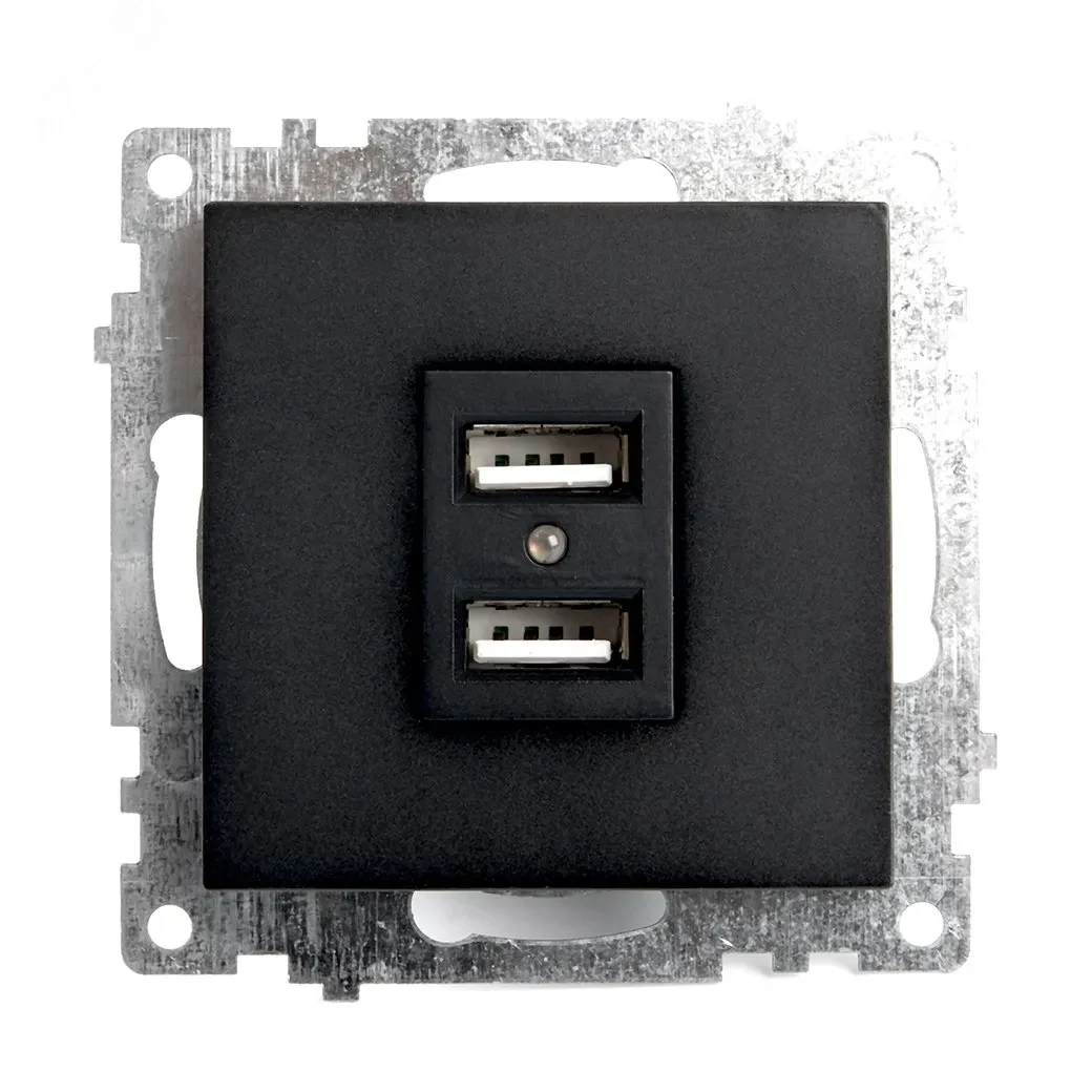 Розетка 2-местная б/з и с USB, Катрин, черный Розетка 2-местная б/з и с USB, Катрин, черный