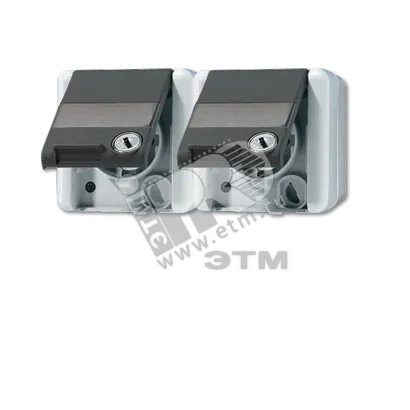 Розетка двойная горизонтальная SCHUKO 16A 250V с полем для надписи IP44 Розетка двойная горизонтальная SCHUKO 16A 250V с полем для надписи IP44
