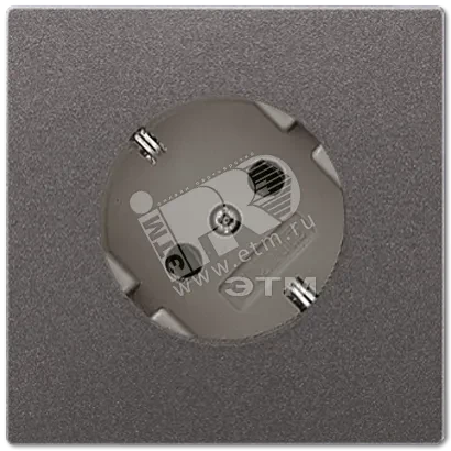 Розетка штепсельная SCHUKO 16A 250V с углом наклона 45 гр. антрацит Розетка штепсельная SCHUKO 16A 250V с углом наклона 45 гр. антрацит