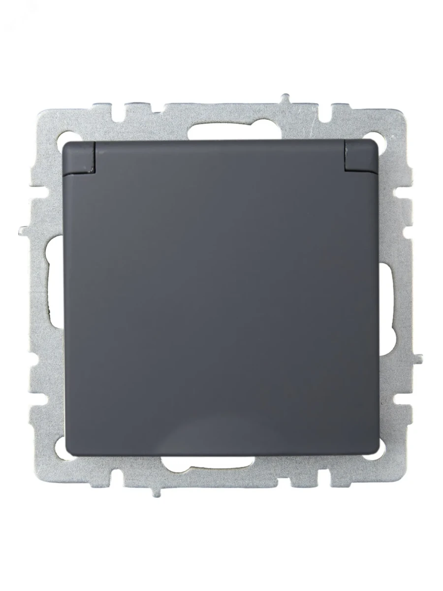 BRITE Розетка с заземлением с защитными шторками и крышкой 16А IP20 РСбш10-3-БрГ графит BRITE Розетка с заземлением с защитными шторками и крышкой 16А IP20 РСбш10-3-БрГ графит