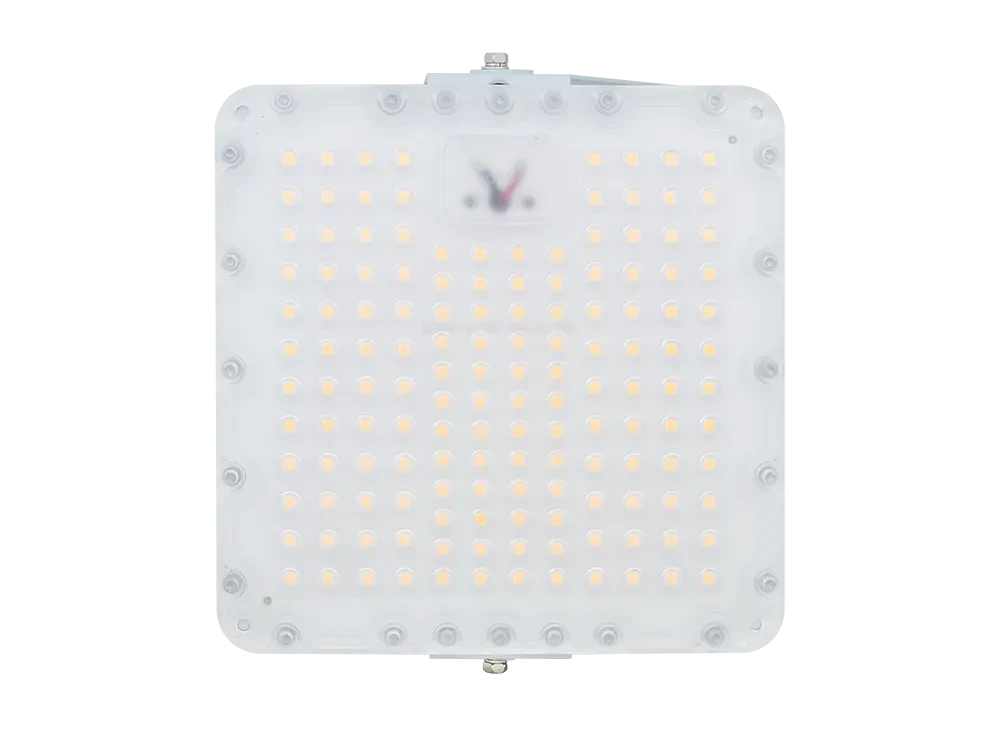 Diora Quadro 45/6500 K25 5K лира Diora Quadro 45/6500 K25 5K лира