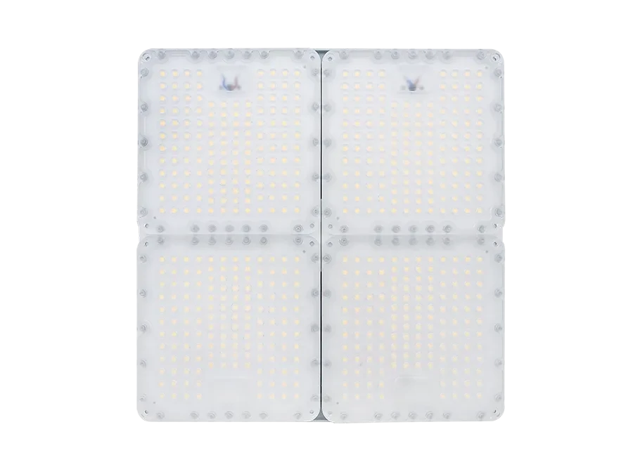 Diora Quadro 180/29000 Д 5K лира Diora Quadro 180/29000 Д 5K лира