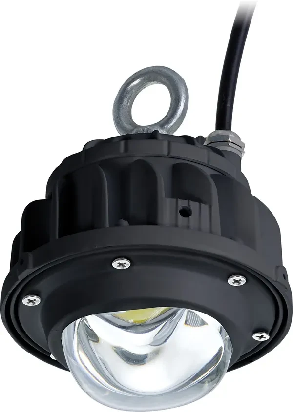 Светильник ACORN LED 25 D150 5000K with tempered glass 36 VAC Светильник ACORN LED 25 D150 5000K with tempered glass 36 VAC