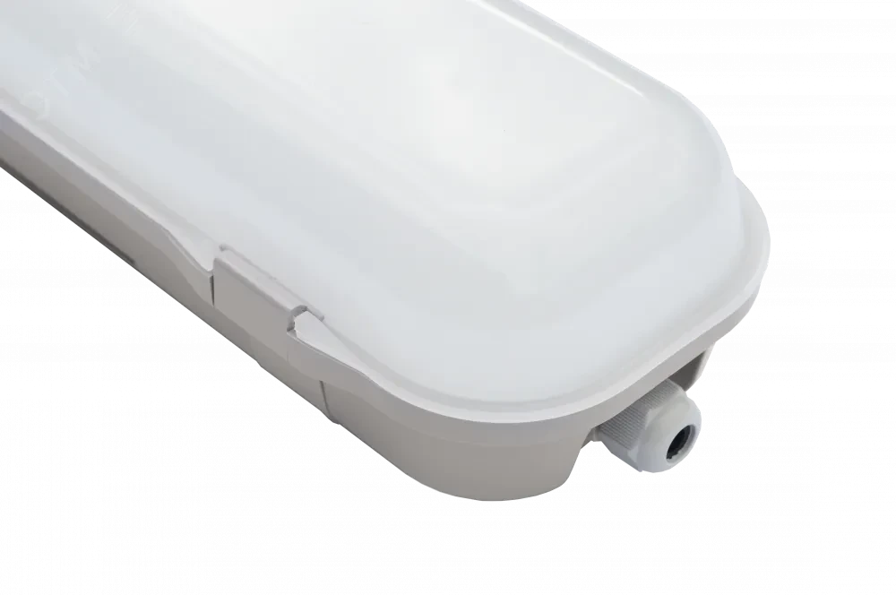 Diora LPO/LSP SE 40/5500 opal 5K Diora LPO/LSP SE 40/5500 opal 5K