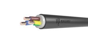 Кабель силовой ВВГнг(А) LS 4х70мс(N)-1ТРТС