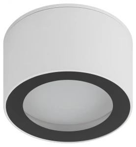 Светильник настенно-потолочный спот OL28 WH/BK GX53, черно-белый, IP44