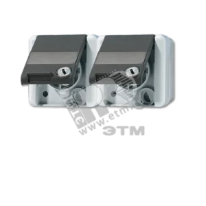 Розетка двойная горизонтальная SCHUKO 16A 250V с полем для надписи IP44