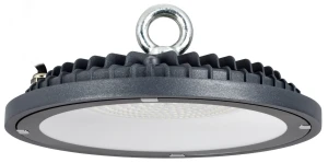 LIGHTING Светильник светодиодный ДСП 4022 100Вт 6500К IP65 IEK LIGHTING Светильник светодиодный ДСП 4022 100Вт 6500К IP65 IEK
